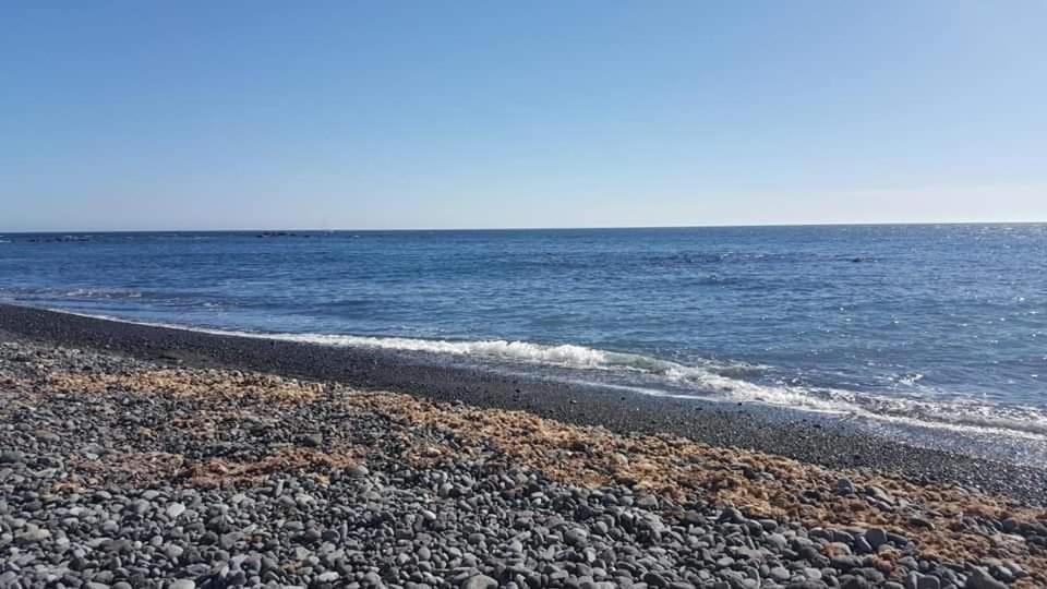 Rosas By Villas Rinamar Las Rosas  Екстер'єр фото